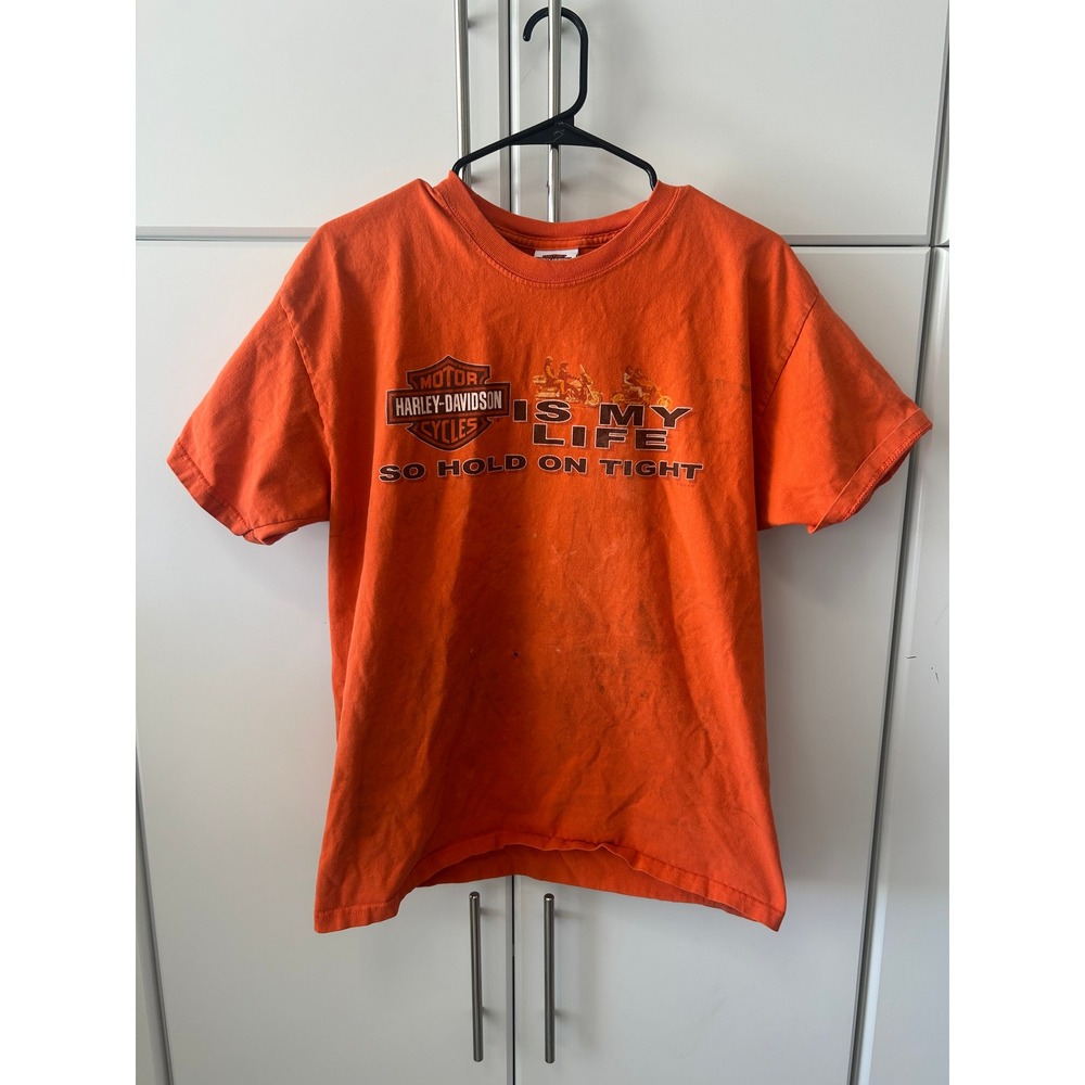 Harley-Davidson Mens Orange Graphic T-Shirt Is My Life So Hold On Tight Vintage